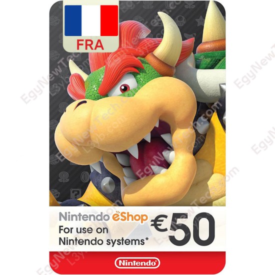 Nintendo eShop Gift Card €50 France eCash - Instant Digital Code front cover