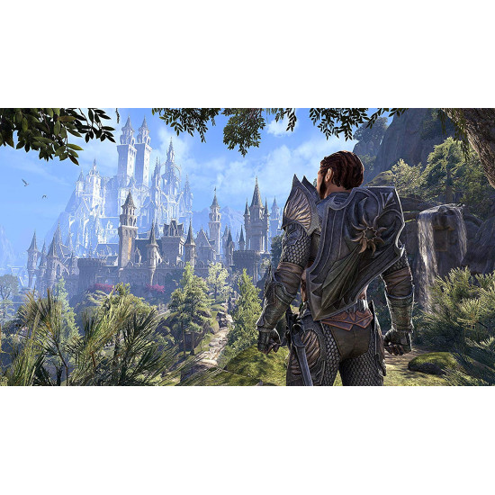 Elder Scrolls Online: Summerset - PlayStation 4