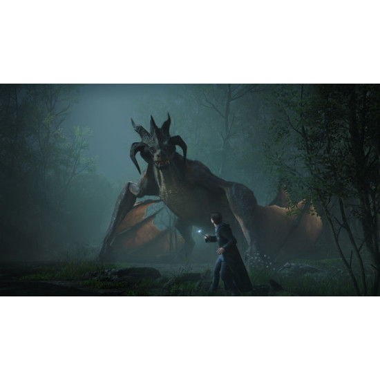 Hogwarts Legacy - Global - PC Steam Digital Code